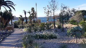 Ein Garten mit Kiesweg, Palmen und verschiedenen Sträuchern.