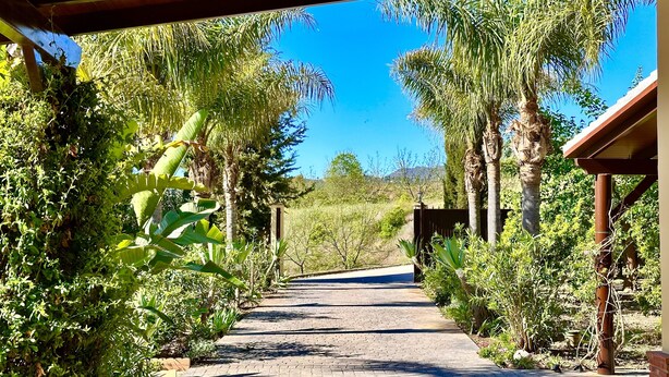 A paved pathway flanked by lush greenery and palm trees, leading to a building with a wooden structure. - Finca La Panorámica (Málaga)