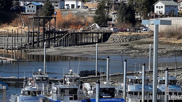 Un puerto deportivo con barcos amarrados, un muelle y una zona residencial al fondo.