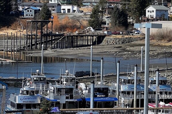 Marina - The Boat House - Waterfront at Auke Bay with Discounts on Tours (Juneau)