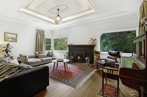 TV, fireplace, books, stereo