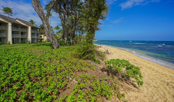A beachfront hotel with a sandy beach, lush greenery, and a clear blue sky.