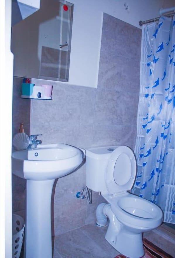 Dusche, Haartrockner, Handtücher, Seife
