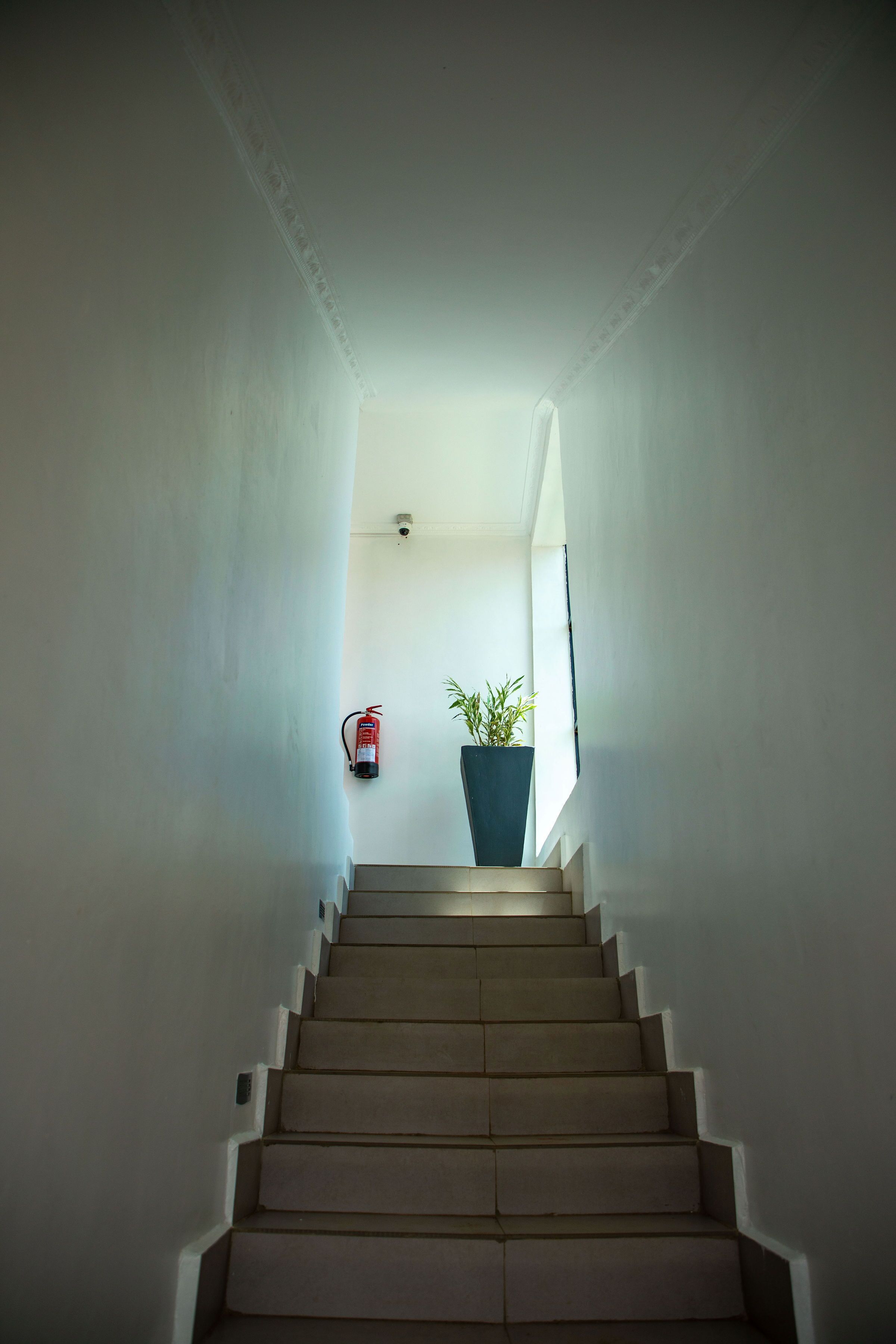 A staircase leading to a landing with a fire extinguisher and a potted plant on the landing.