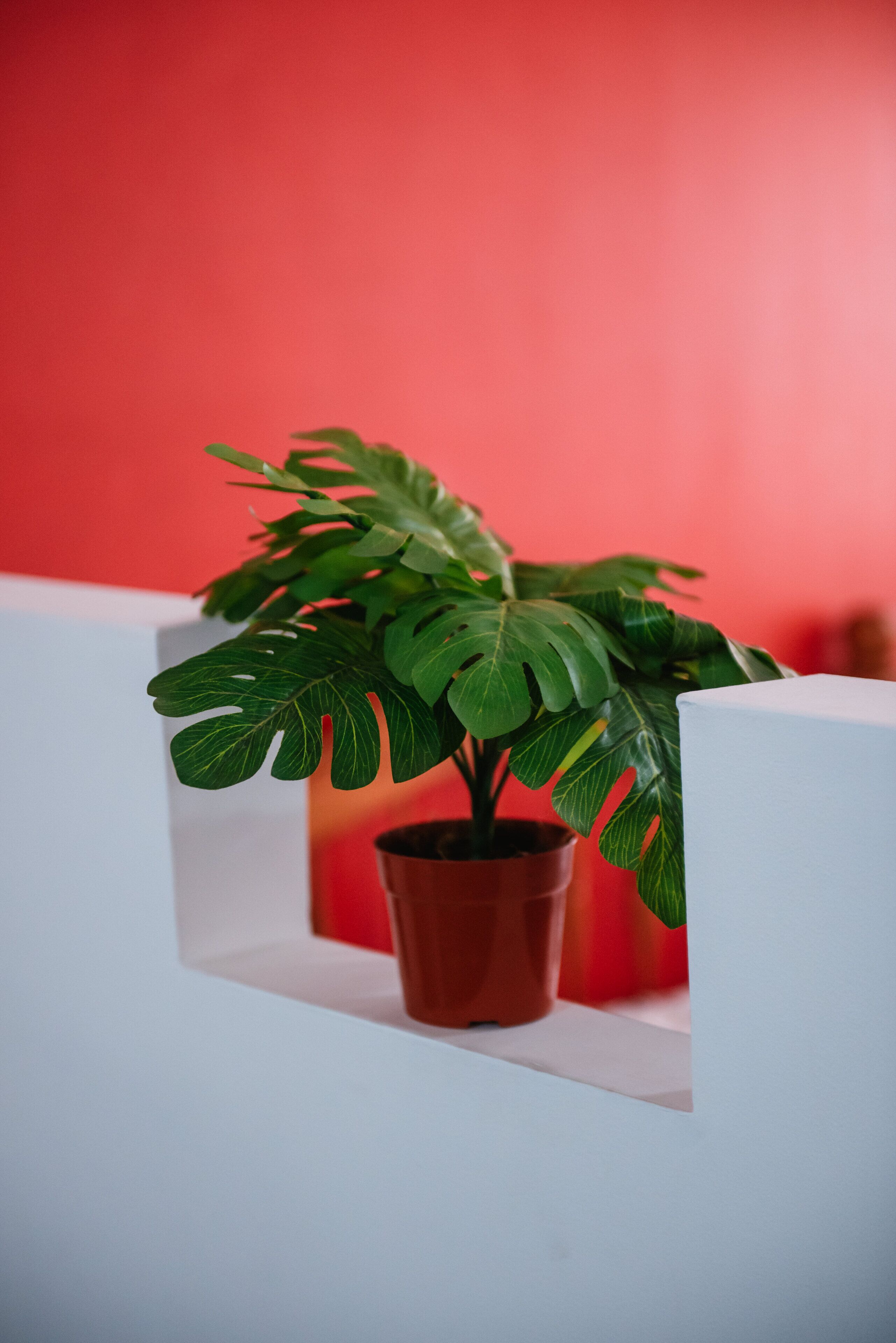 Foto - Apart Hotel Andino