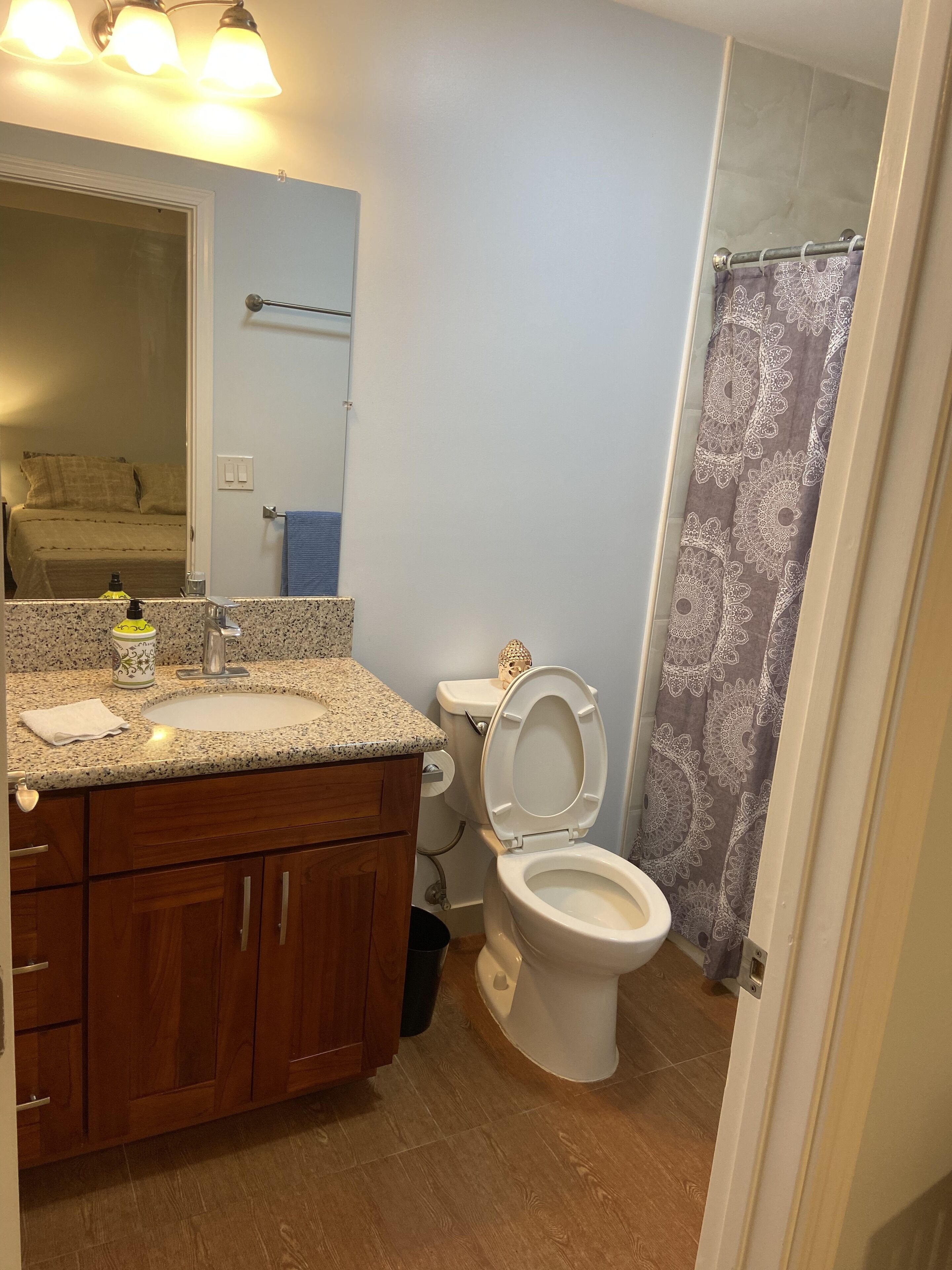 A bathroom with a granite countertop sink, wooden cabinets, a toilet, and a shower curtain.