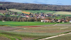 Uma vila rural com uma igreja, casas e campos agrícolas.