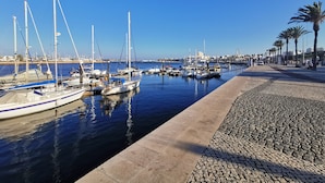 A marina with boats docked, a clear sky, and a paved walkway with palm trees.