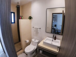 Shower, hair dryer, towels