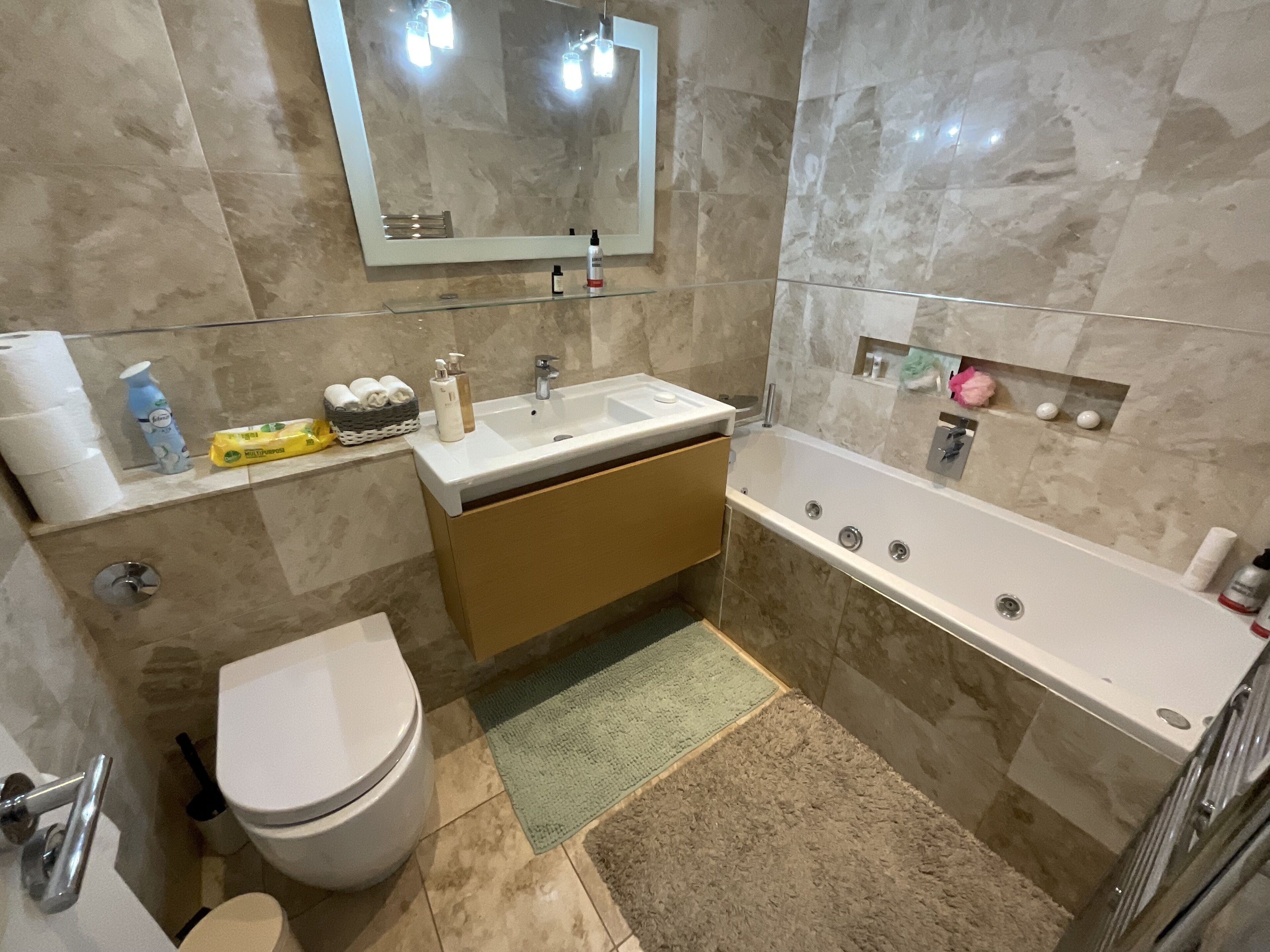 Flat on the banks of the Thames