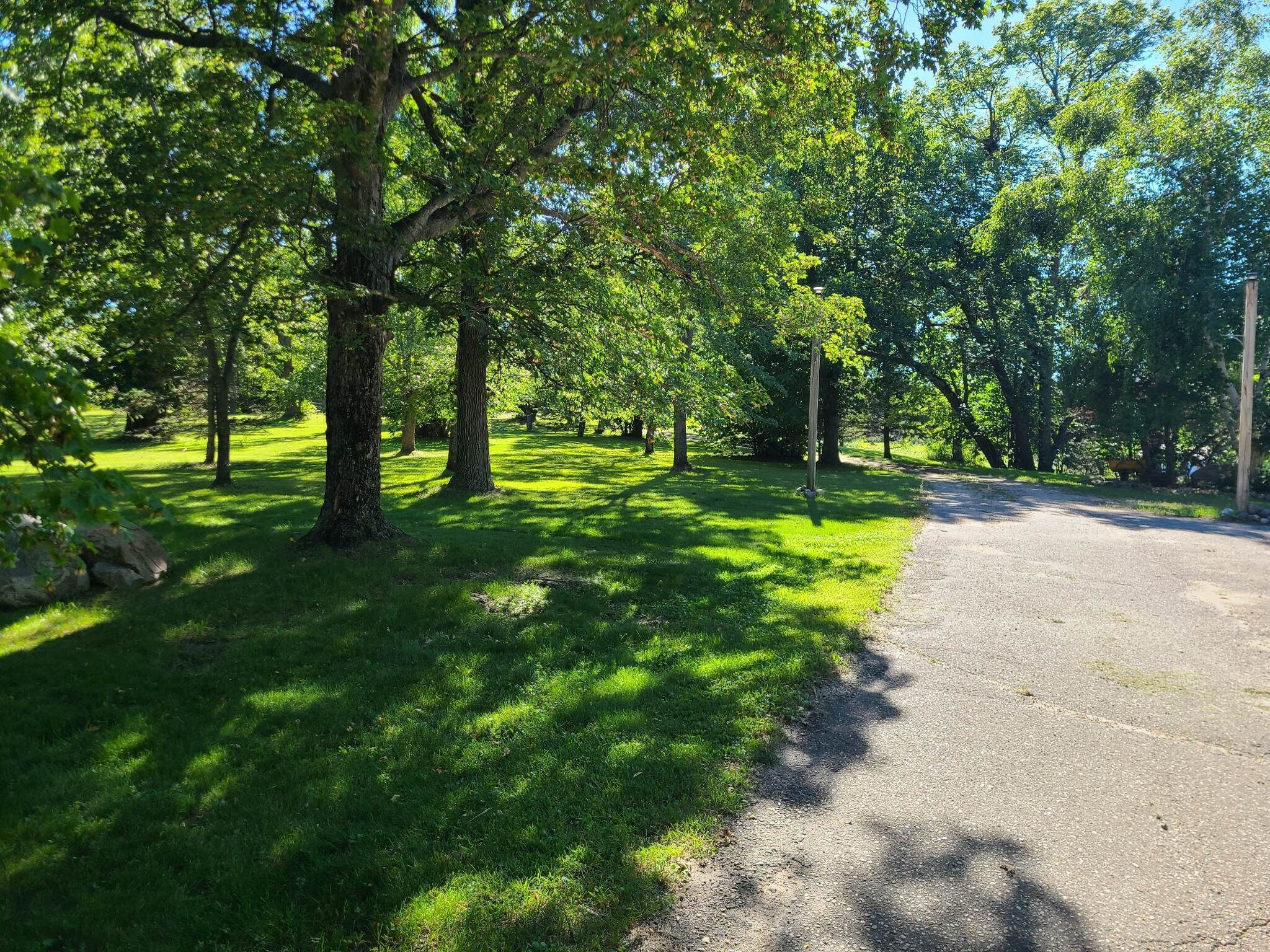 Un chemin pavé qui traverse un parc avec des arbres et de l’herbe.