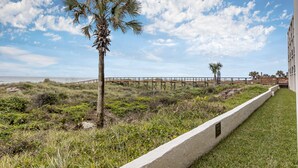 Eine Küstenansicht mit einer Palme, einer Rasenfläche und einem hölzernen Steg, der zum Strand führt.