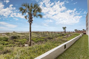 A coastal view with a palm tree, grassy area, and a wooden boardwalk leading to a beach.