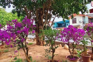 A garden with mature trees and flowering plants. - Tiandi Renhe Inn (Shilin)