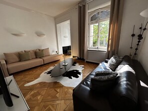 Smart TV, fireplace, books