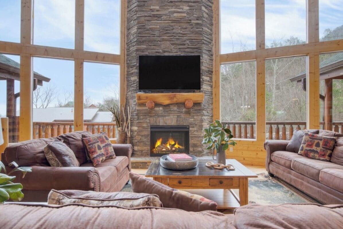 TV, fireplace, DVD player