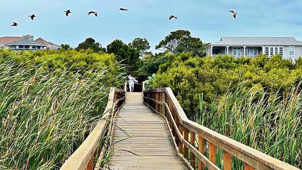A wooden boardwalk leading to a house surrounded by dense greenery. - Pelican Place - Golf cart included 704 Swordfish (Fripp Island)