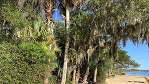 A sandy beach with a wooden bench, picnic table, and trees with hanging moss. - Snowbirds save 50% Clean , pets, beachside apt. Downtown Flagler Beach -Sleeps 4 (Flagler Beach)