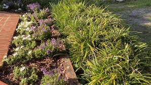 A garden with a pond, a gazebo, and a variety of plants. - Snowbirds save 50% Clean , pets, beachside apt. Downtown Flagler Beach -Sleeps 4 (Flagler Beach)