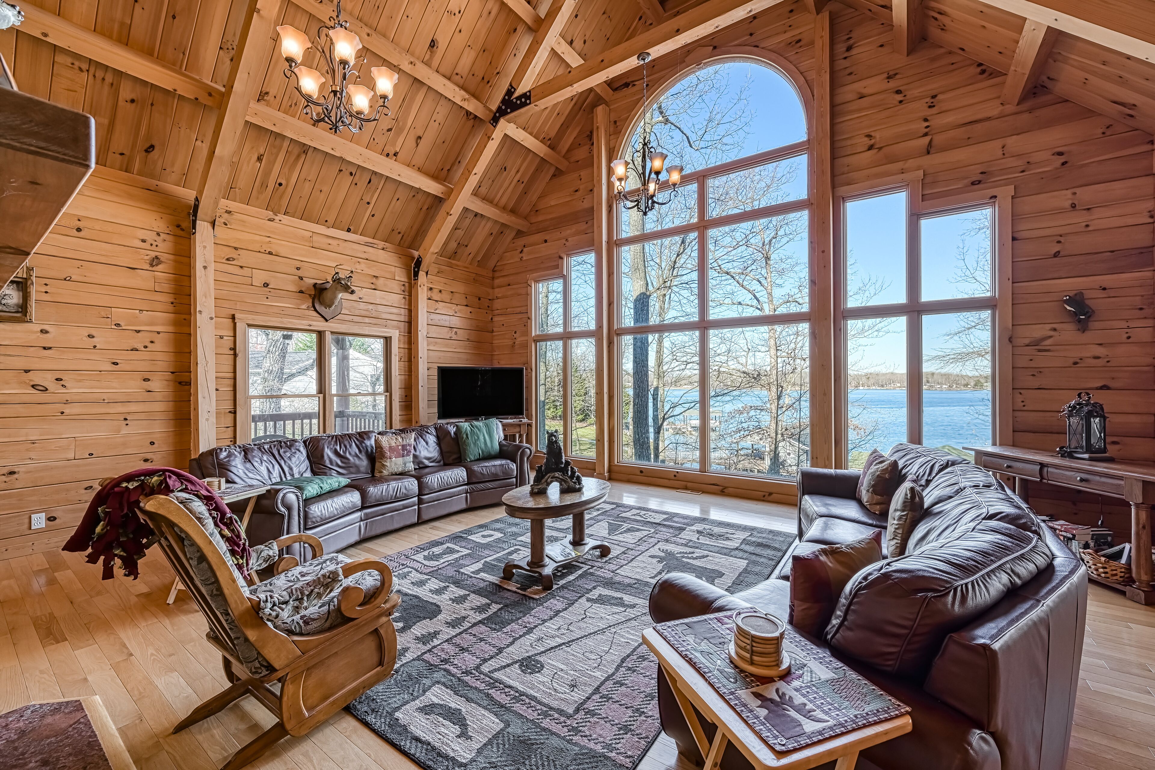 Televisión, reproductor de DVD y videoteca 