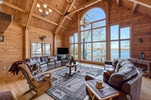 TV, DVD player, video library