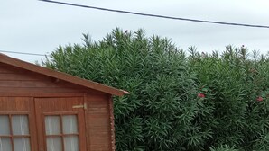 Un bâtiment en bois doté d’une porte de garage et d’une allée gravillonnée.