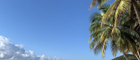 Una spiaggia nelle vicinanze