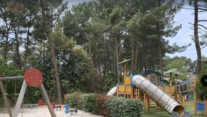 Un parque infantil con columpios, tobogán y estructuras para escalar, rodeado de árboles.