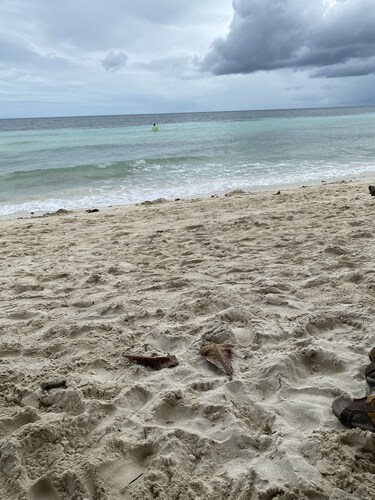 House for rent near panglao. Live like a local cook your own meals