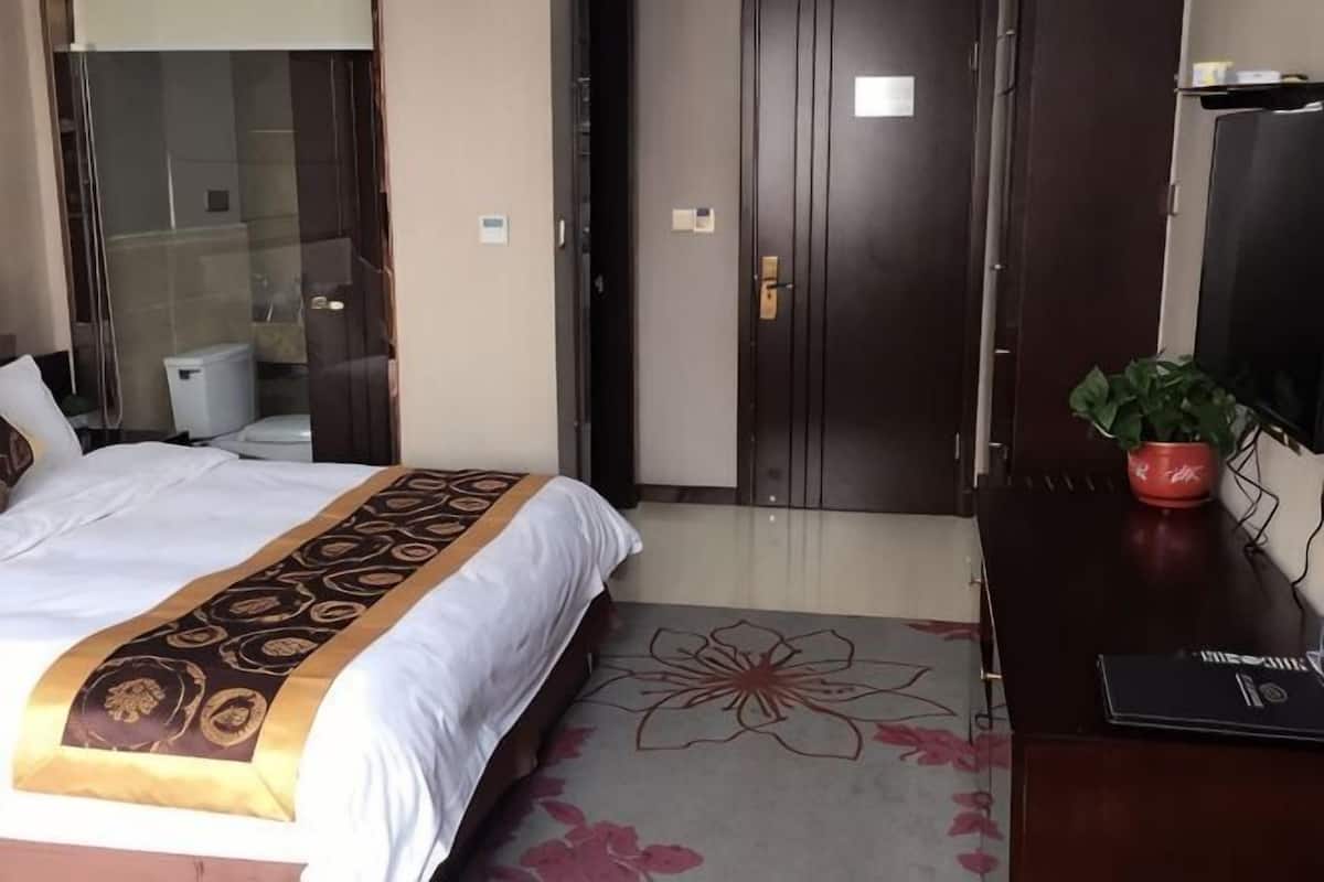 A hotel room with a bed, a desk with a plant, a TV, and a door.