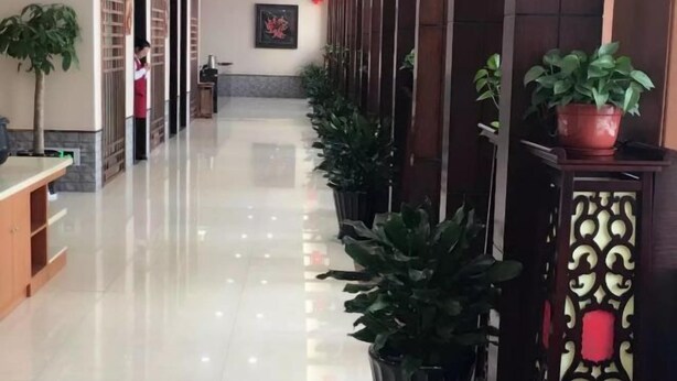A hotel corridor with a polished floor, potted plants, and a traditional decorative screen. - Mengzhiyuan Business Leisure Hotel (Danyang)