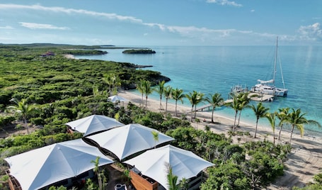 A beachside resort with a marina, palm trees, and a clear view of the ocean.