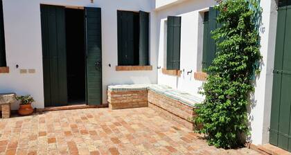 In the middle of Euganean Hills: total relax among olives and vines