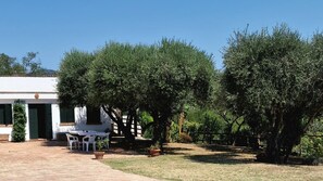 Un edificio con fachada blanca y contraventanas verdes, un patio con mesa y sillas, y varios árboles en los alrededores.