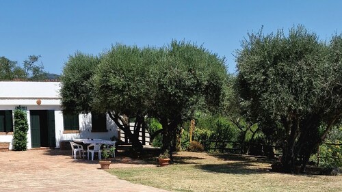 In the middle of Euganean Hills: total relax among olives and vines