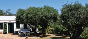 In the middle of Euganean Hills: total relax among olives and vines