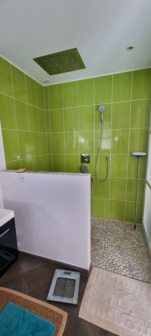 Dusche, Haartrockner, Handtücher, Seife
