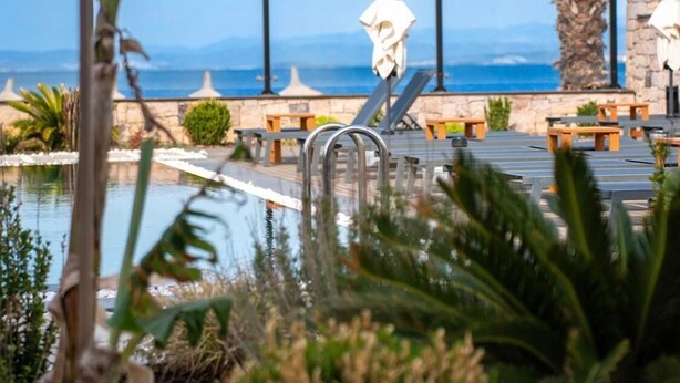 A poolside area with lounge chairs and umbrellas, a palm tree, and a view of the sea. - Leone Cunda Edition Otel (Ayvalik)