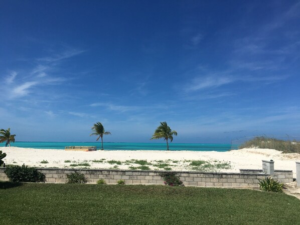 A beach with white sand, palm trees, and a clear blue sky.