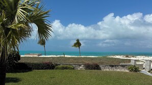 Blick auf einen Strand mit einer Palme und einem Betonweg, der zum Wasser führt.