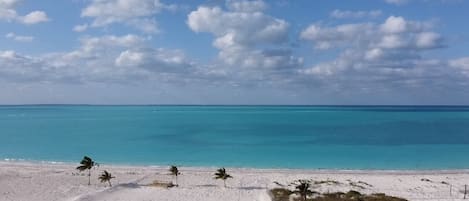 Camastros y toallas de playa