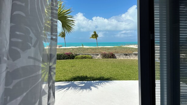 Blick auf einen Strand mit Palmen und blauem Himmel.