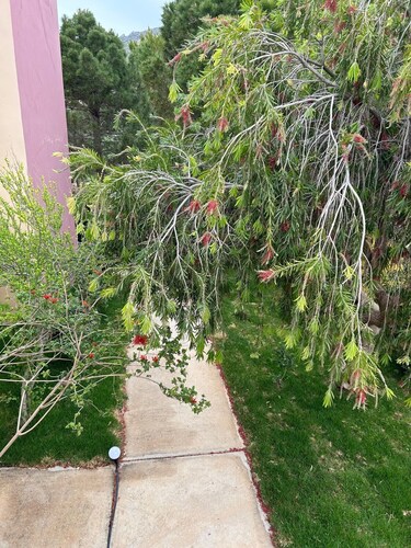 Mediterranean Sea Top Floor