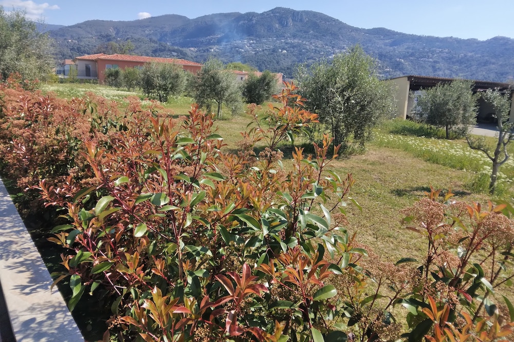 Small house under the olive trees with private pool