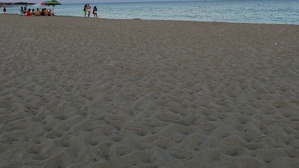 A beach with a clear sky, calm sea, and a few people and umbrellas. - MELOGRANO apartment near sandy beach (Campomarino)