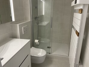 Shower, hair dryer, toilet paper