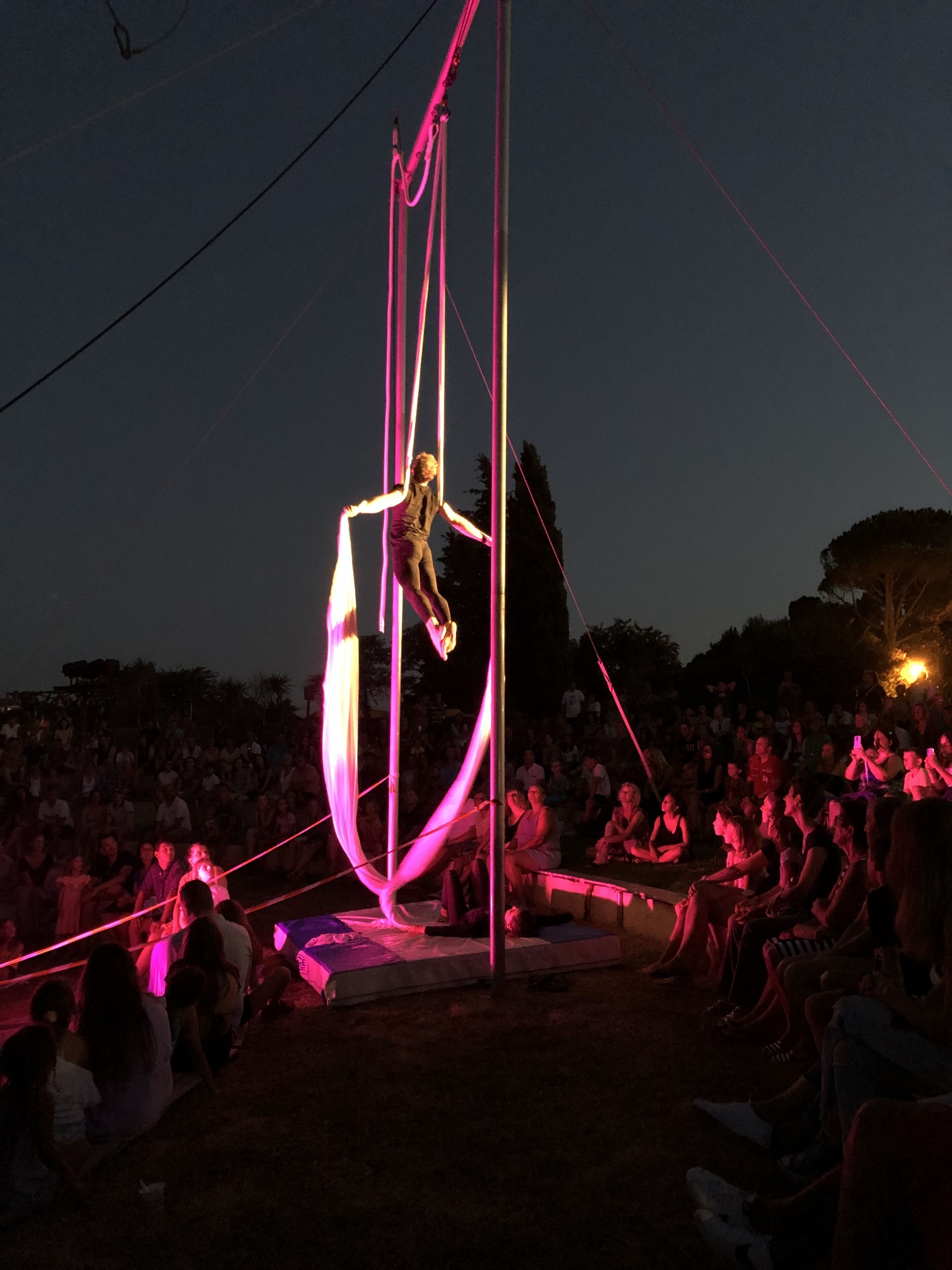 An aerialist performing on a trapeze with an audience seated below.