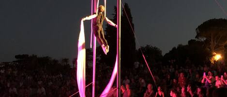 An aerialist performing on a trapeze with an audience seated below.