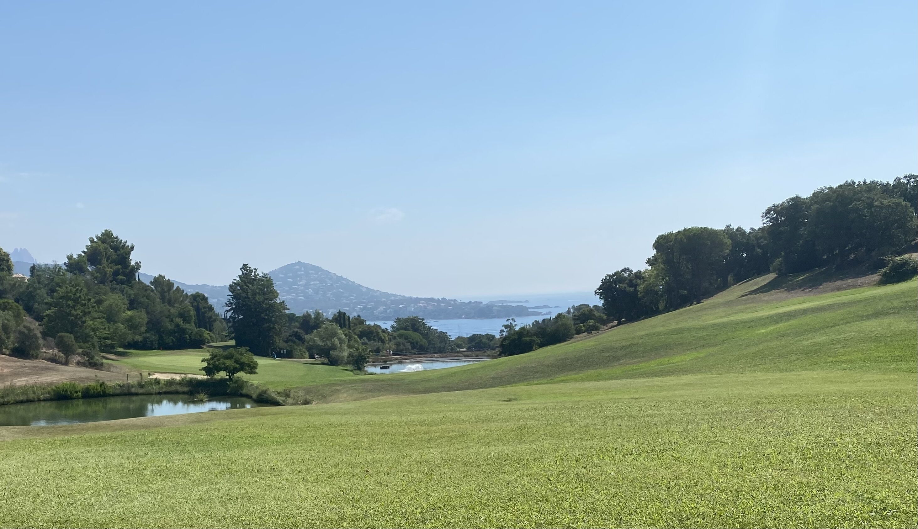 A grassy landscape with a body of water, trees, and a distant mountain.