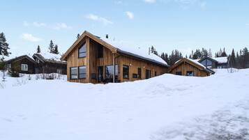 外觀